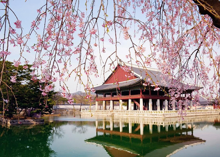 cung dien gyeongbok-lau hanh hoi